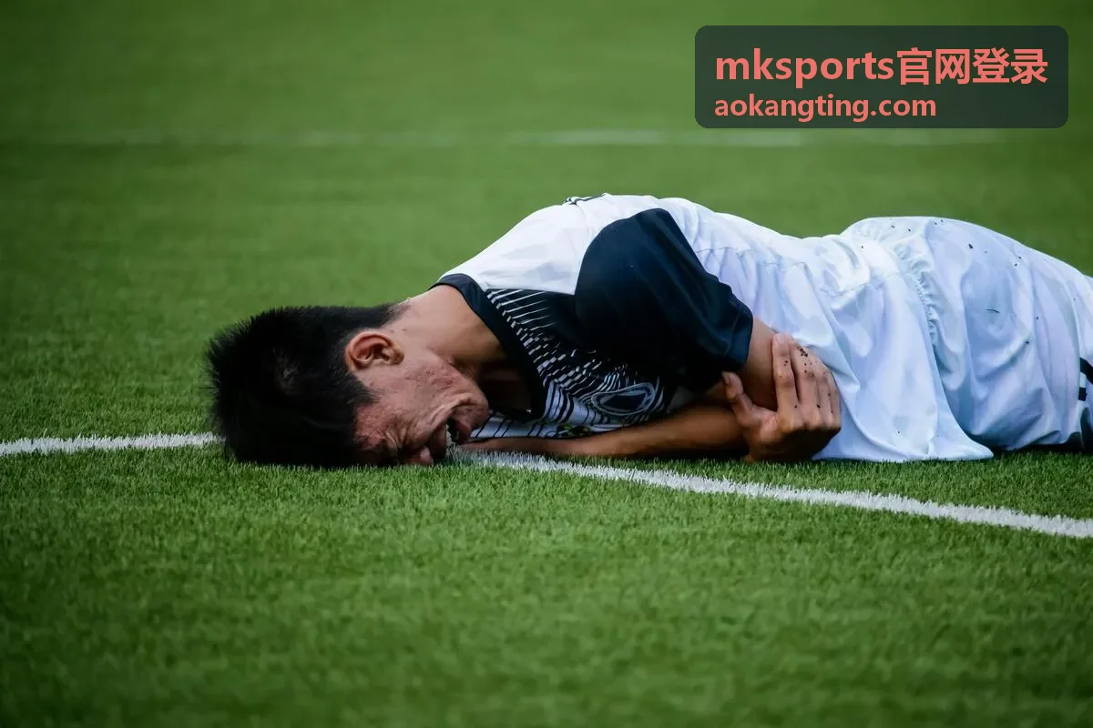 mksports官网登录异常提示处理说明配图